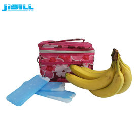 Custom Color HDPE Plastic Reusable Cool Cooler Lunch Ice Packs for Lunch Cooler Bags