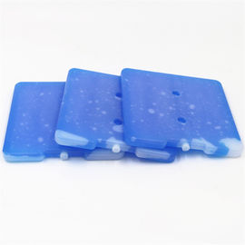 Custom Hard Plastic Material Reusable Plastic Ice Packs Cooler For Lunch Bags
