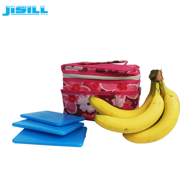 Portable HDPE Plastic Reusable Ultra Thin Ice Pack For Cooler Cold Packs