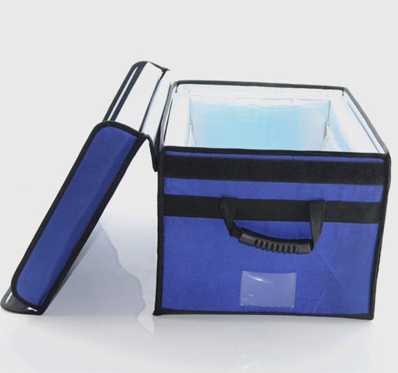 Custom Portable Thermal Blue Cool Bag Ice Packs For Cool Cooler Bag