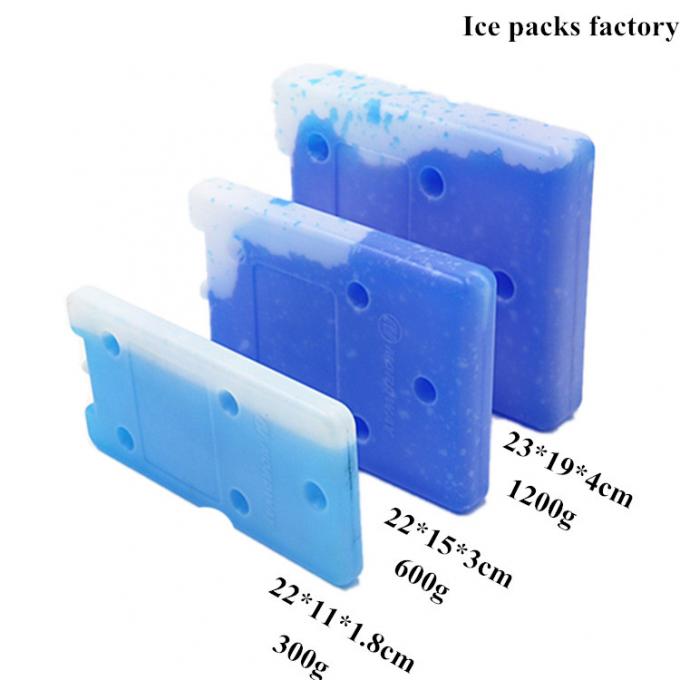 Eco Friendly Food Grade Ice Cooler Brick For Food Long Time Transport