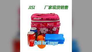 Extra Large Reusable Ice Pack Cooler