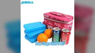 600ml Ice Pack Keep Food Cold 0-8C