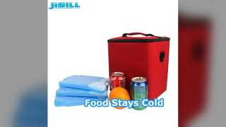 Keep Food Cold Ice Pack Reusable Cooler Brick