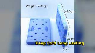 Long Lasting Ice Packs For Cold Chain Transport