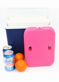 Blue Medium Cooler Ice Blocks Freezable Gel Cold Packs Hard Shell BPA Free For Food Frozen
