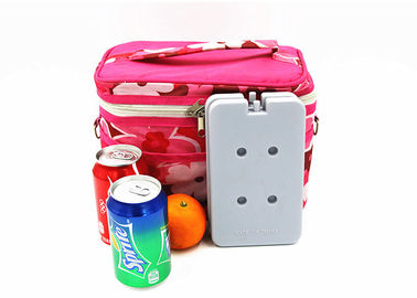 BPA Free Plastic Reusable Blue Ice Cooler Packs Freezer Blocks Portable