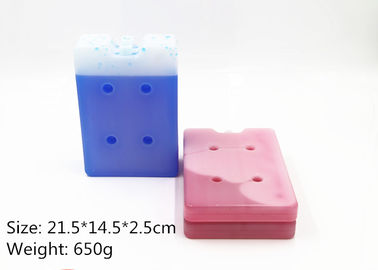 Food Grade HDPE Plastic Ice Cooler Brick Colorful For Food Cold Storage