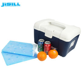 Blue PCM Coolant Flat HDPE Large Cooler Ice Packs Non Toxic - 25 Degrees For Food Frozen