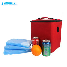 Food Grade BPA Free Ice Cooler Brick Biological Material