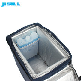 Customize Portable 4L Small Vaccine Carrier Box for 2 - 8 C Storage