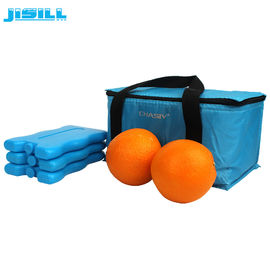 Blue Portable Cooler Bag Ice Pack Reusable Freezable Gel Cold Packs