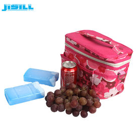 Non Caustic Picnic  Reusable Eutectic Cold Plates Cooler Ice Block For Freezing