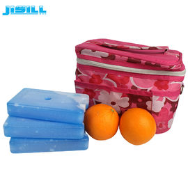 FDA Approved HDPE Hard Plastic Cooler Gel Ice Pack Camping Frozen Food For Cooler Bag For Food Frozen