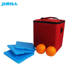Rigid Plastic Lunch Ice Packs Fresh Cool Cooler Reusable Cold Packs