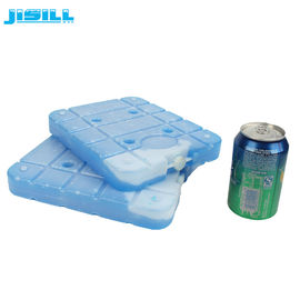 FDA Material HDPE Plastic Large Ice Eutectic Cold Plate Ice Bag With Handle